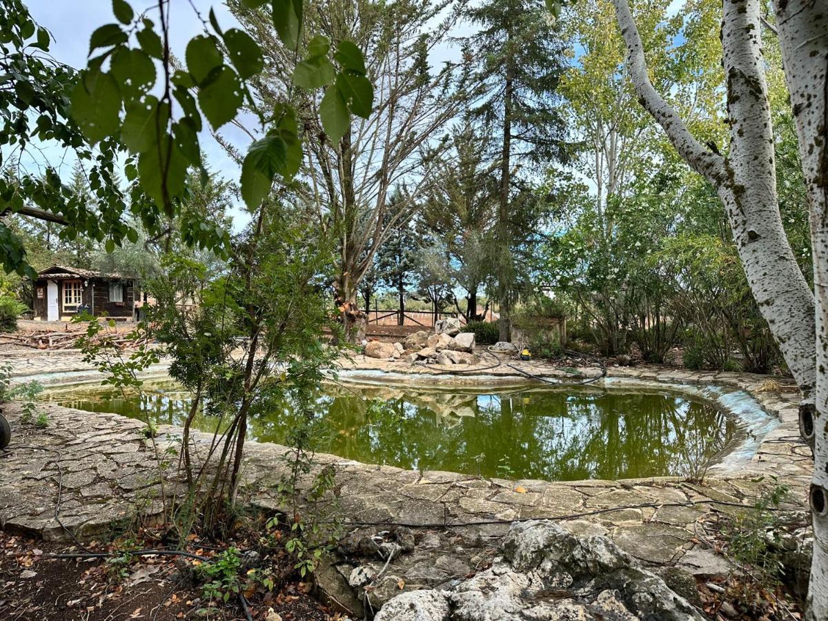 El Refugio Archidona Villa Málaga Eksteriør billede